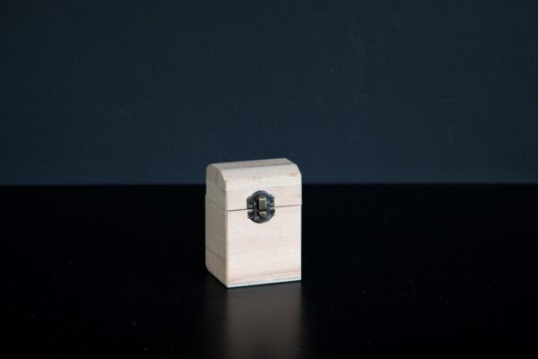 Kuti e vogel bizhuterishe