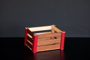 811A1880-scaled-1.jpg Ark e vogel druri me lyerje