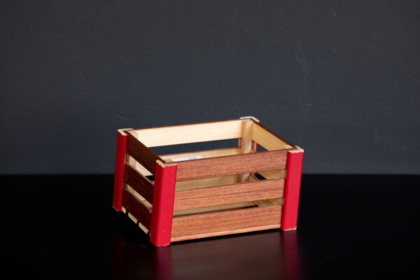 Ark e vogel druri me lyerje